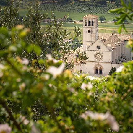 Quintavalle - Centro * Assisi