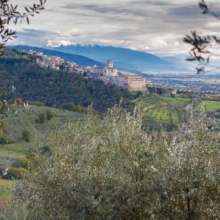 Quintavalle - Centro Assisi